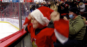 Merry Christmas Sport GIF by NHL