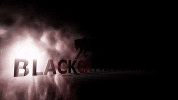 BlackCatVideo GIF