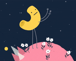Flowers Omg GIF by Noodles Agency