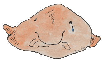 Blobfish Sticker
