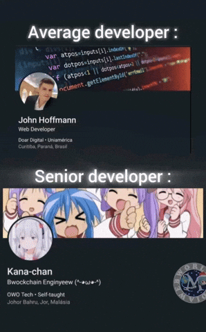 Vs Developer GIF