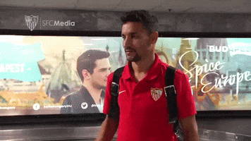 la liga ok GIF by Sevilla Fútbol Club