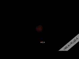 Faragalnemr GIF