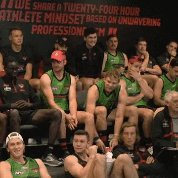 afl dons GIF by Essendon FC