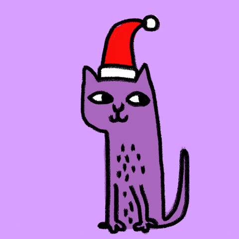 Cat Christmas GIF by Kochstrasse™