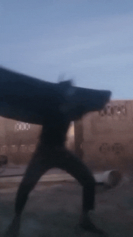 Batmoon GIF