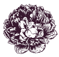 Pink Flower Sticker