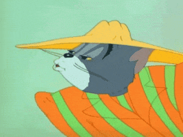 Tom And Jerry GIF