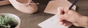 Ballerinas Thank You GIF by Josefinas