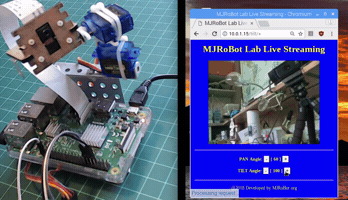 Webcam Raspberry Pi GIF