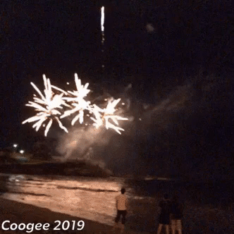 Happy New Year Fireworks GIF