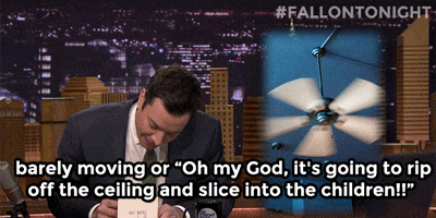 Fallontonight Jimmy Fallon animated GIF