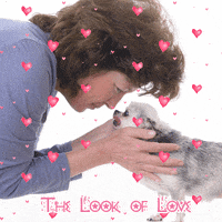 Puppy Love Heart GIF by Chibird - Find & Share on GIPHY