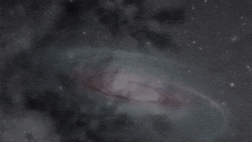 British Disbelief GIF