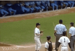 baseball mlb GIF