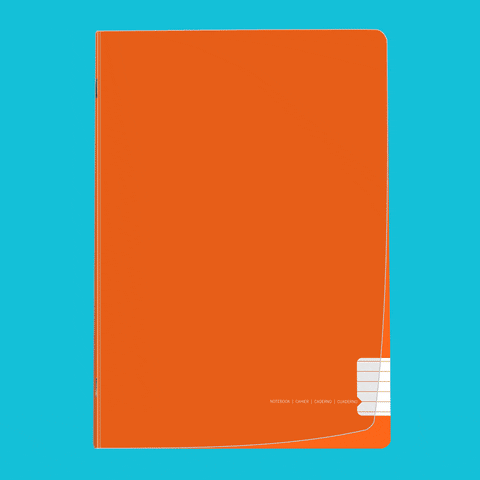 GIF by olmarportugal