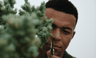 Kylian Mbappe Focus GIF by Alan