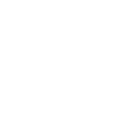 Nature Play QLD Sticker