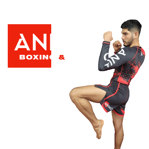 ANIMO BOXING & MMA GYM LTD Sticker