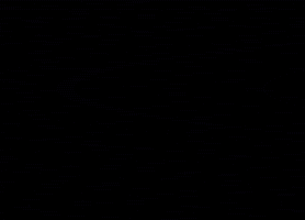 Cat Halloween GIF by MGA Games