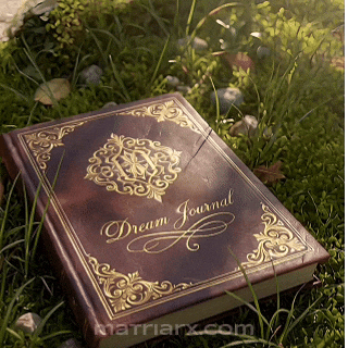 Divine Feminine Dreamwork GIF by The Galactic Matriarx