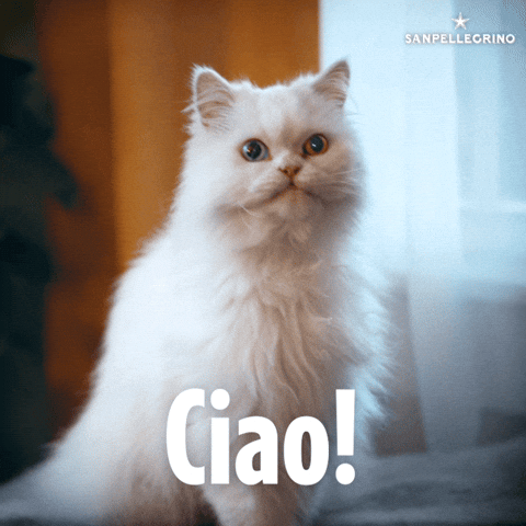 Ciao GIF by Sanpellegrino
