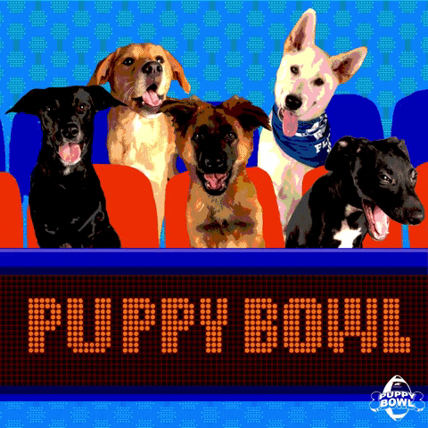 Jump Dogs GIF by Puppy Bowl