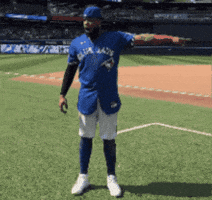 Blue Jays What GIF by Toronto Blue Jays