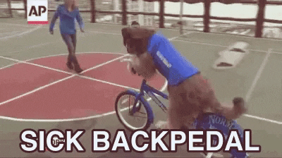 giphy.gif?cid=6c09b952llz04hqy95l5kmr83k