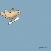 200.gif