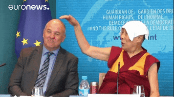 euronews euronews european parliament dalai lama GIF