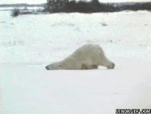 domanda di oggi 

neve o pioggia