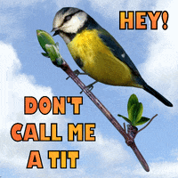 Hey GIF