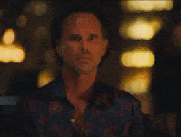 Wtf GIF