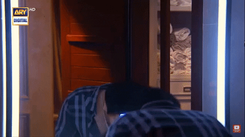 Habs GIF