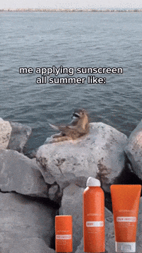 Summer-ball GIFs - Get the best GIF on GIPHY