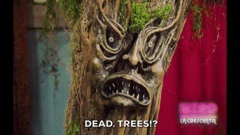 Lily Pichu GIFs - Get the best GIF on GIPHY