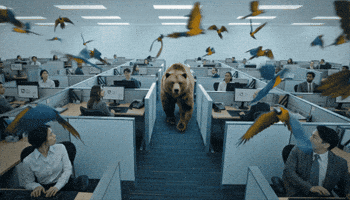 Bear Think Differently GIF by PICTON Investments