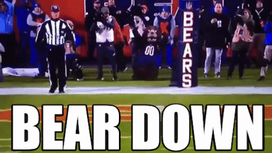 Bears Lose In Green Bay And Connor Bedard Injured