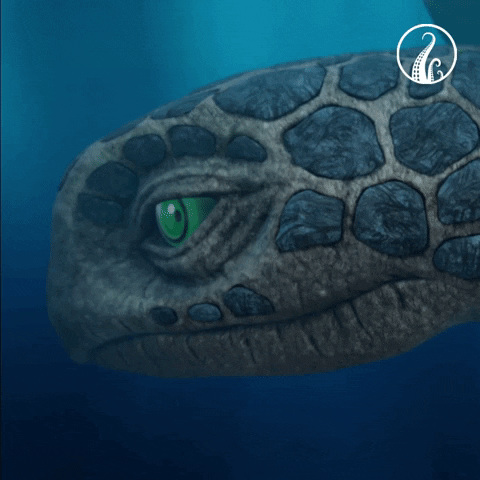 the deep turtle GIF by The Deep (Series)