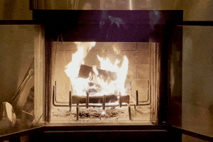Burning Yule Log GIF by This Bushwick Life