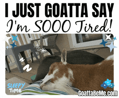 Goats Cant Stay Awake GIF by Goatta Be Me Goats! Adventures of Pumpkin, Cookie and Java!