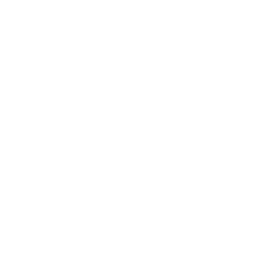 HAYAMAX Sticker