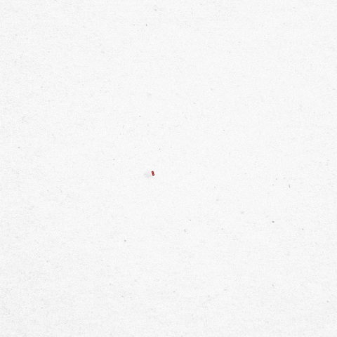 red white and blue wow GIF by Bomb Pop