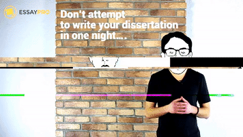 College University GIF