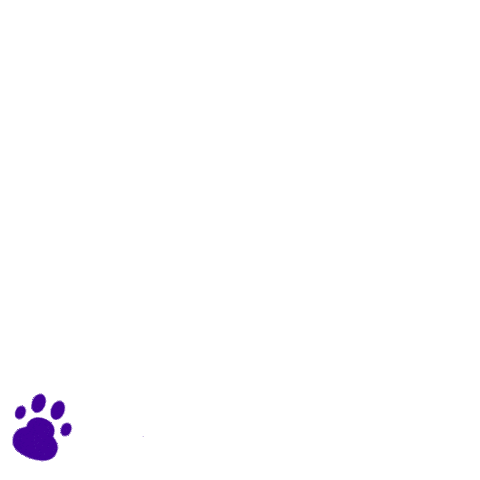 Dog Food Wink Sticker