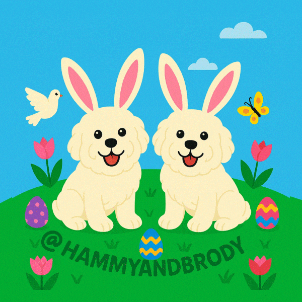 Easter Bunny Dog GIF by HammyandBrody