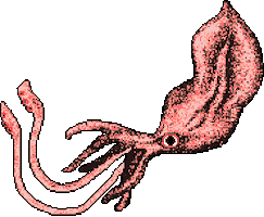 PositPixel pixel art sprite sprites squid Sticker