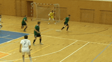 Czech North Media GIF