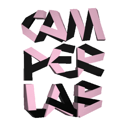 Logo 3D Sticker by Camper